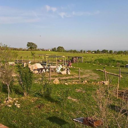 Mario'S Home Sasso  Εξωτερικό φωτογραφία